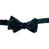Navy and Green Southerland Stripe Bow Tie