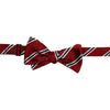 Navy and Maroon Gloucestershire Stripe Bow Tie