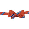 Rust with Navy and Light Blue Repp Stripe Silk Bow Tie