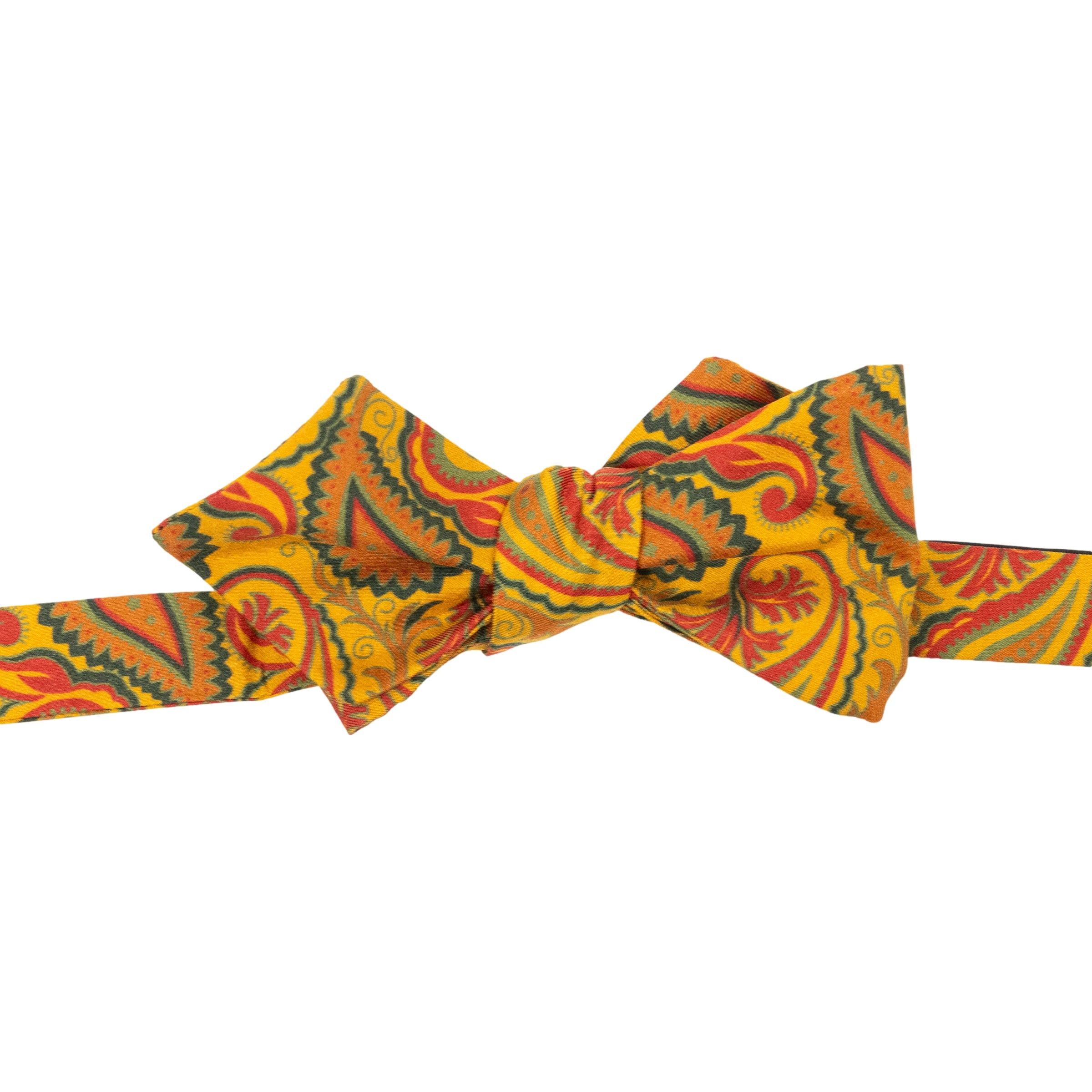 Large Paisley Print Silk Pointed End Bow Tie