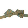Classic Paisley Print Silk Pointed End Bow Tie