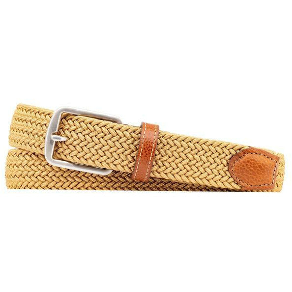 Stretch Web Belt