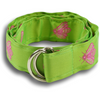 Lime Green with Pink Bees Ribbon Belt