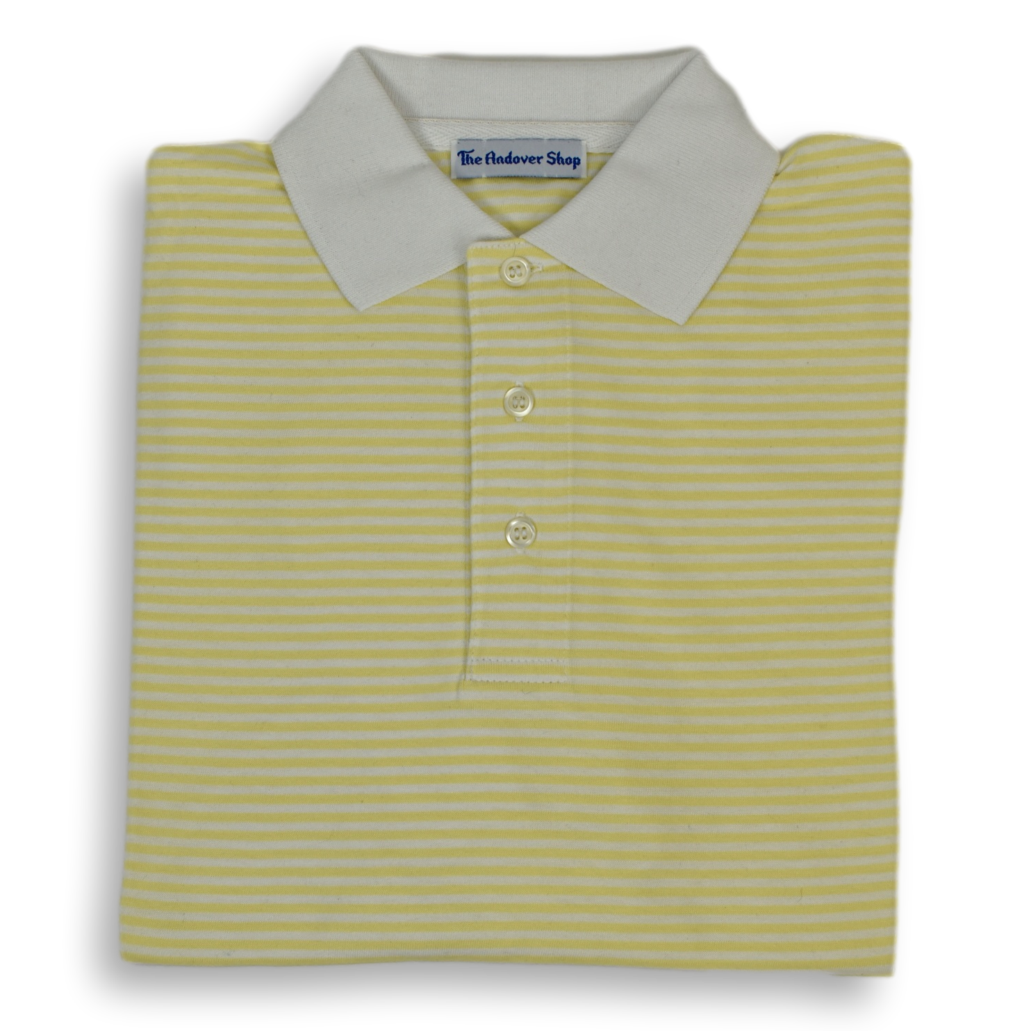 Striped Jersey Polo with Contrast Collar