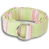 Lime Green and Pink Striped Ribbon Belt